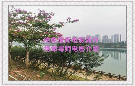 绝命毒师电影简介 绝命毒师电影介绍